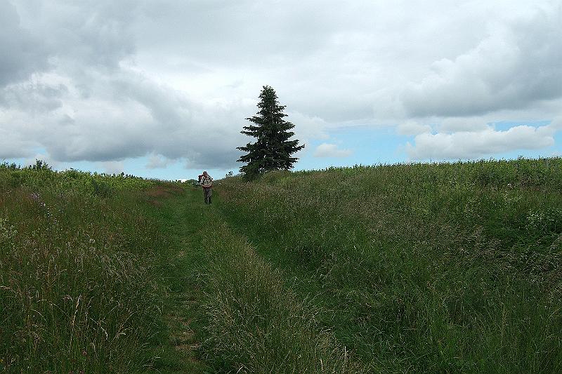 2010-06- (104).JPG